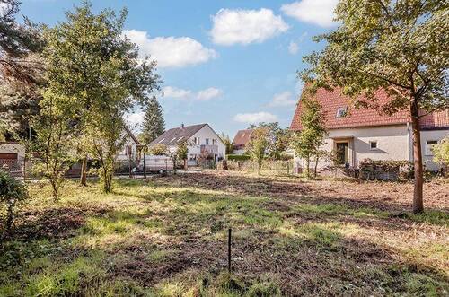 Blick zur Straße - 