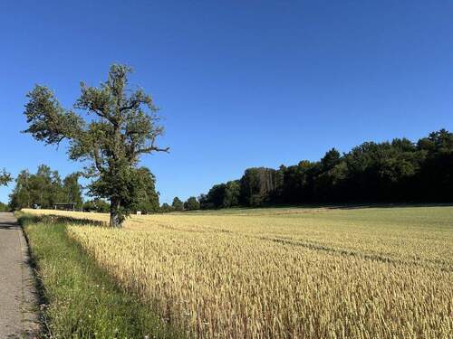 Angrenzende Umgebung - Einfamilienhaus mit 174,00 m&sup2; in Weissach / Flacht zum Kaufen