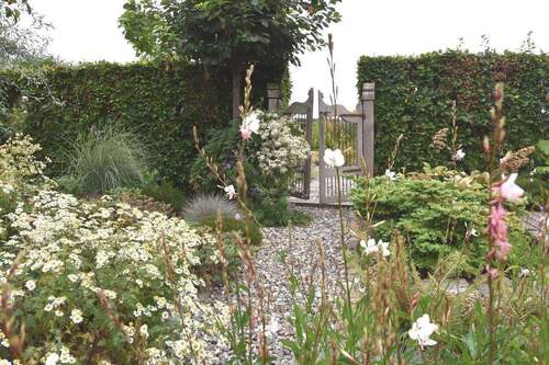 Blick in den Garten.jpeg - 