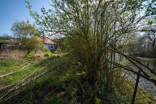 DSC05483 - Grundstück in Großheringen zum Kaufen