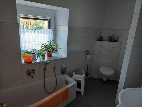 das Tageslichtbad im EG - 
