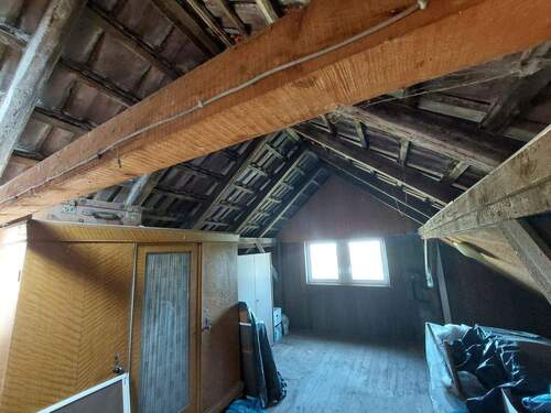 der Dachspitz - 