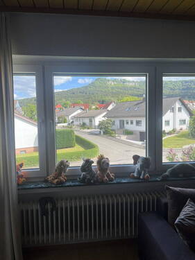 Bild 5 - 