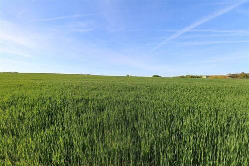 eigenes Land hinterm Garten - 