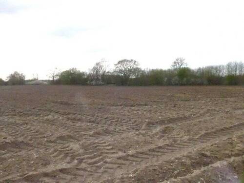 Grundstück - Grundstück in Kisdorf