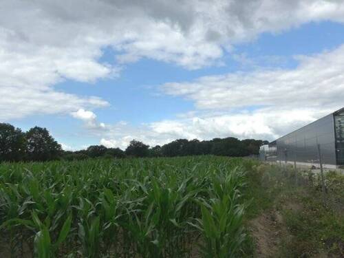 Grundstück - Grundstück in Kisdorf zum Kaufen