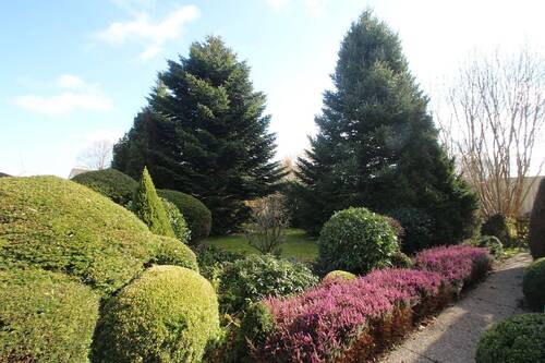 Der Garten vor dem Haus - 
