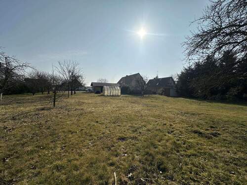Grundstück gen Südosten - 4 Zimmer Einfamilienhaus in Heideblick