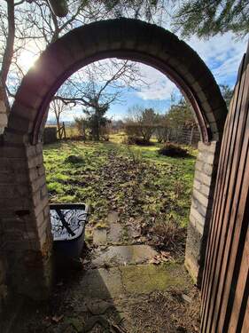 20251201_111645[1].jpg - 