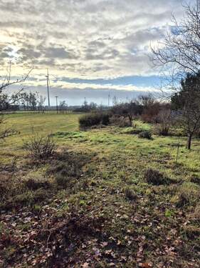 20251201_104005[1].jpg - 