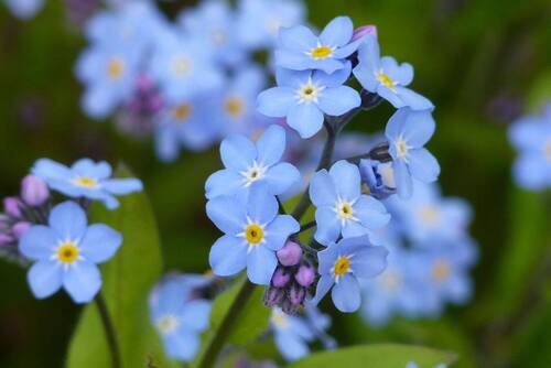 Secret Sale - Secret Sale - Familienfreundliches EFH mit großem Garten - freiwerdend