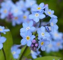 Secret Sale - Familienfreundliches EFH mit großem Garten - freiwerdend - Schwandorf Ettmannsdorf