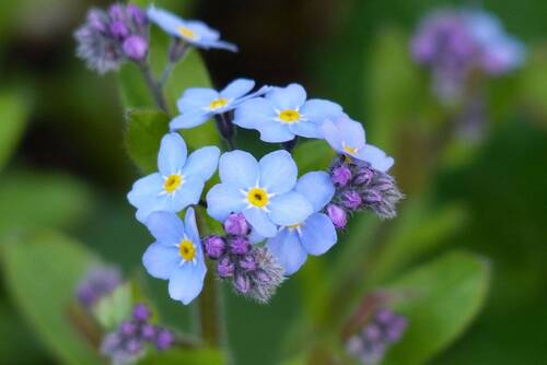 Secret Sale - 6 Zimmer Einfamilienhaus zum Kaufen in Schwandorf