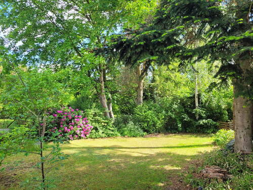 Garten mit Büschen und Bäumen - 