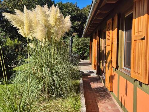 20250929_110939.jpg - 