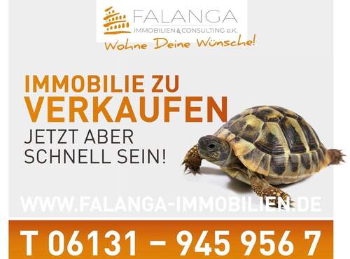 Schildy - 