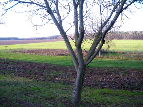 Ausblick vom GS.JPG - 