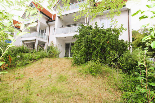Bild5 - 