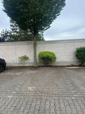 Stellplatz - 