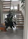 Blick in den Flur - 