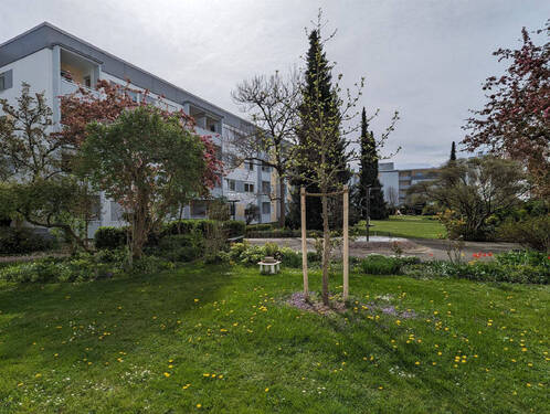Ausblick vom Balkon - 