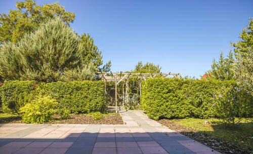 Blick in der Garten - 