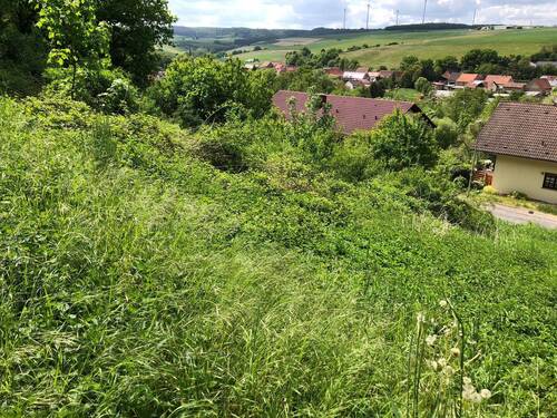 PHOTO-2025-05-15-15-31-28.jpg - Unbebautes Grundstück in Imsweiler! Ideal für eine Wohnbebauung oder eine Investition!