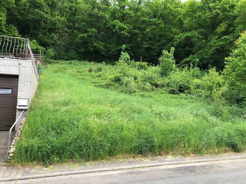 PHOTO-2025-05-15-15-31-34.jpg - Grundstück zum Kaufen in Imsweiler