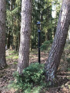 Bild 1 - Besondere Gelegenheit pos. Bauvoranfrage - Lindwedel direkt