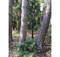 Besondere Gelegenheit pos. Bauvoranfrage - Lindwedel direkt