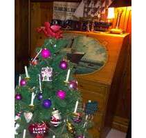 Großes Anwesen für die große Familie - nähe Krupunder See - Haus mit 418 m2 Gebäudenutzfläche - Rellingen