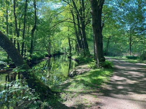 5 Gehminuten zur Osterau/Natur - 