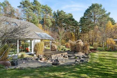 Steingarten mit Blickrichtung zum überdachten Teil der Terrasse - 1 - 