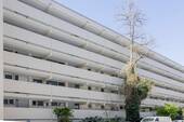 Gebäudeansicht Straßenseite - 