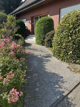 IMG_7355 - Kopie - Kopie.jpeg - 