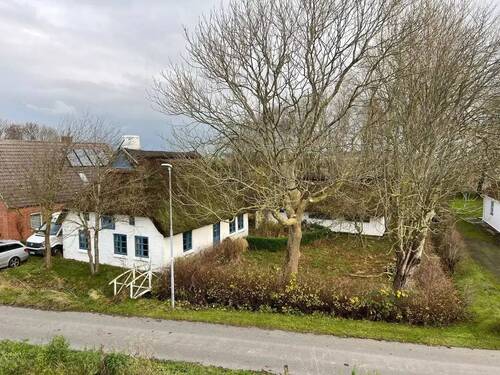 Deichansicht auf Haupthaus und Atelier.jpg - Schönes Reetdachhaus mit Kamin und angrenzenden Atelier