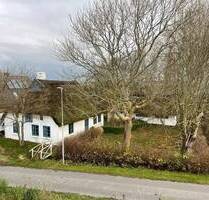 Schönes Reetdachhaus mit Kamin und angrenzenden Atelier - Kronprinzenkoog