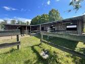 Moderne Stallanlage - 