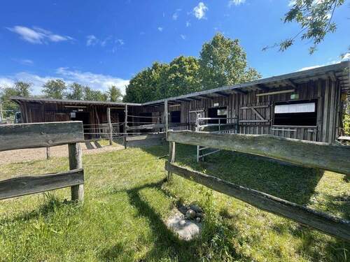Moderne Stallanlage - 