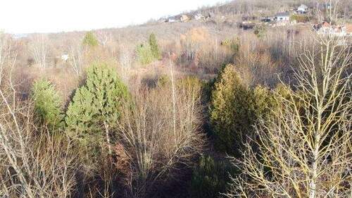 Blick nach Norden - Grundstück in Quedlinburg OT Gernrode