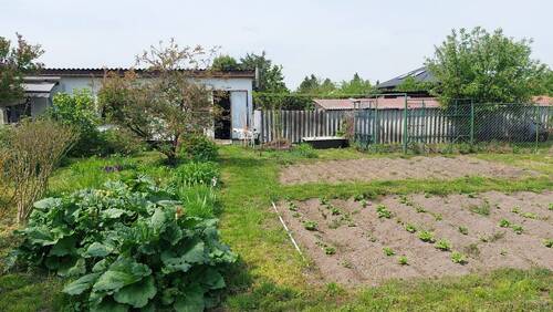 20260510_114445.jpg - 