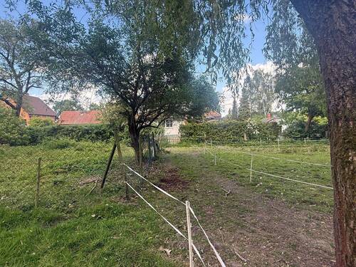 IMG_2593.jpg - Grundstück zum Kaufen in Tharandt