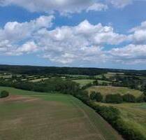 Attraktives Grundstück in Feldrandlage und Seenähe - Kasseedorf