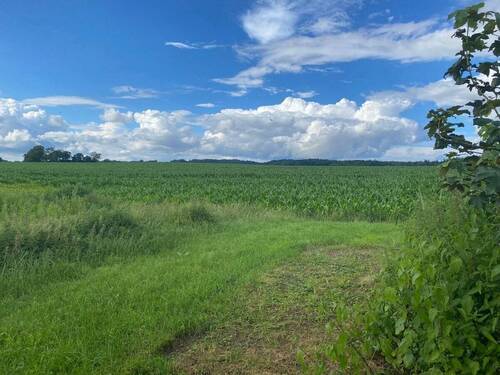 Teilansicht - Grundstück in Kasseedorf zum Kaufen