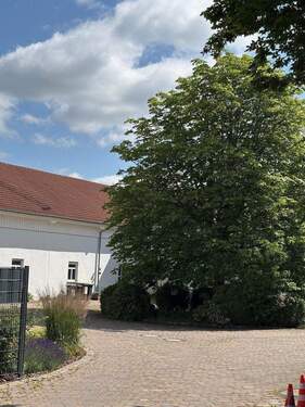 Bild.jpg - Reihenmittelhaus individuell ausbaubar - mit Grünland