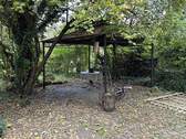 Gartendetail - 