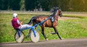 Trabrennbahn - 