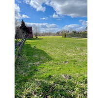 Baugrundstück mit Süd-Ausrichtung in bester Lage - Halstenbek