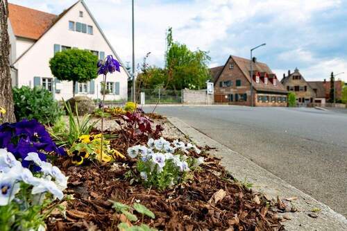 Idylle statt Großstadt - Terrassenwohnung mit 105,50 m&sup2; in Nürnberg zum Kaufen
