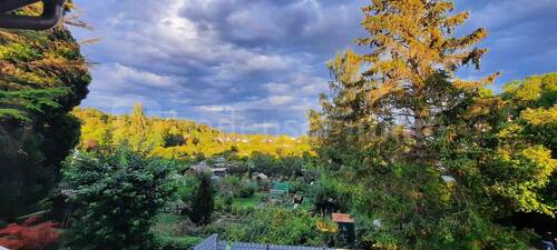 Ausblick ins Grüne - *NEU* Top saniertes Mehrfamilienhaus: 4 Wohnungen, Doppelgarage, Carports & Garten in KN-Fürstenberg